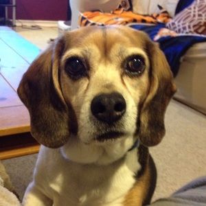 Meet your Posher, Margaret